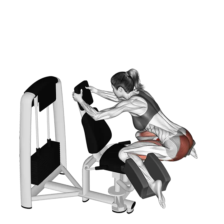 Lever Adduction Thrust exercise animation (Female)