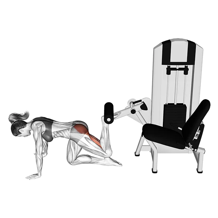 Lever Kneeling Reverse Hyperextension exercise animation (Female)
