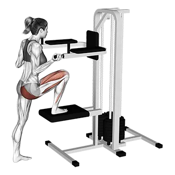 Lever Assisted Leg Press