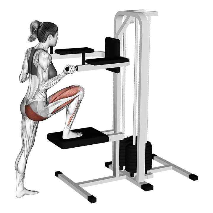 Lever Assisted Leg Press exercise animation (Female)