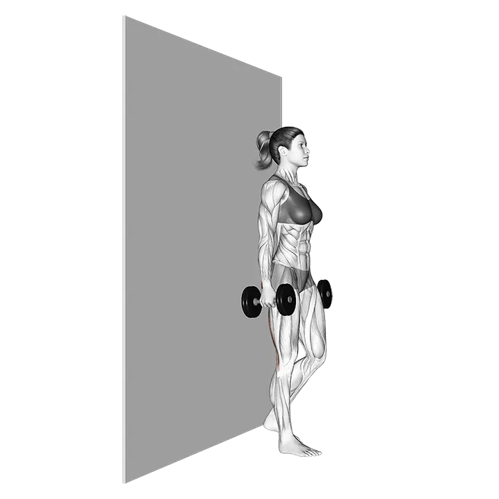 Dumbbell Single Leg Deadlift with Wall Support exercise animation (Female)