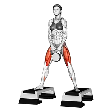 Kettlebell Dumbbell Sumo Squat off Stepbox