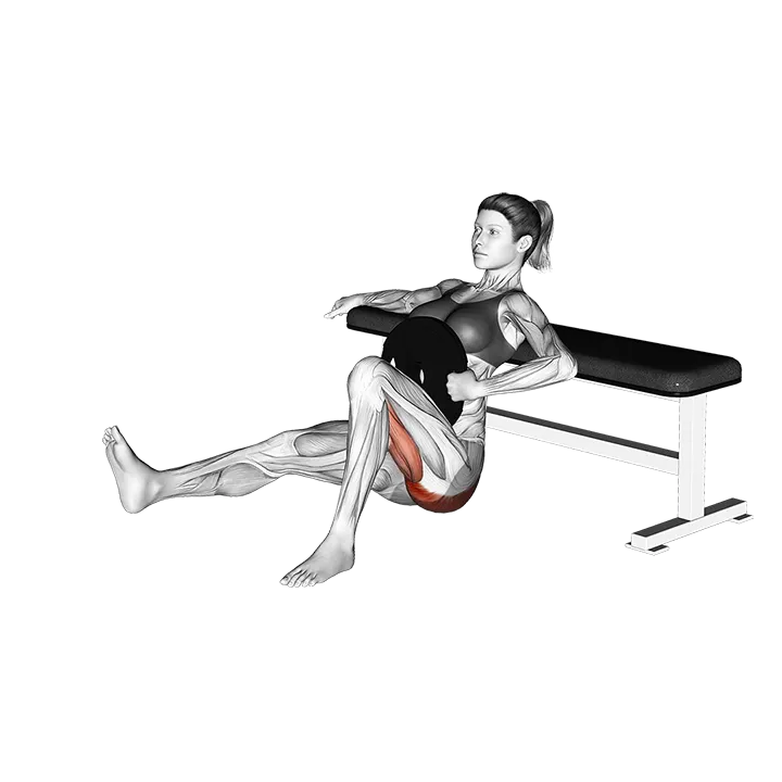 Weighted Hip Thrusts exercise animation (Female)
