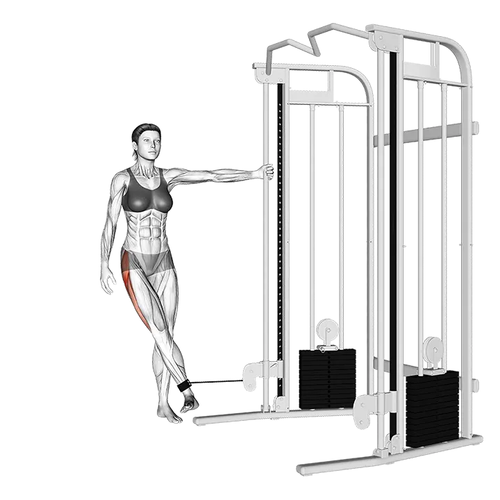 Cable Hip Abduction (toe out) exercise animation (Female)