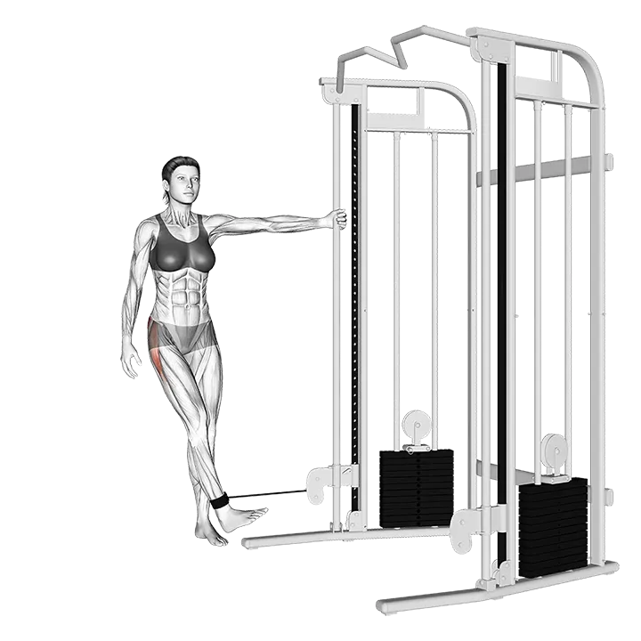 Cable Hip Abduction (toe in) exercise animation (Female)