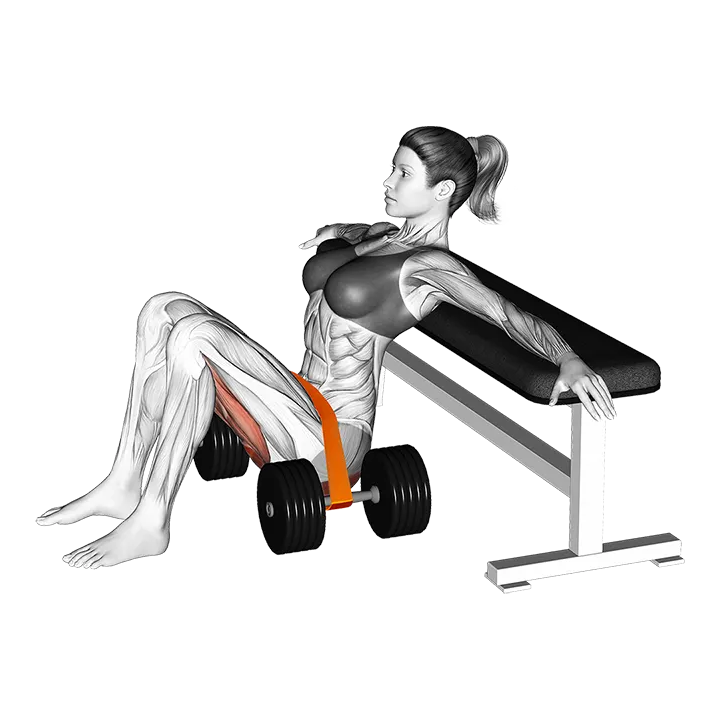Resistance Band Hip Thrust exercise animation (Female)