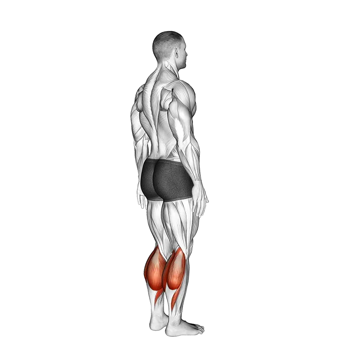 Ankle - Plantar Flexion - Articulations exercise animation (Male)