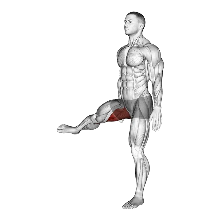 Hip - Adduction - Articulations exercise animation (Hombre)