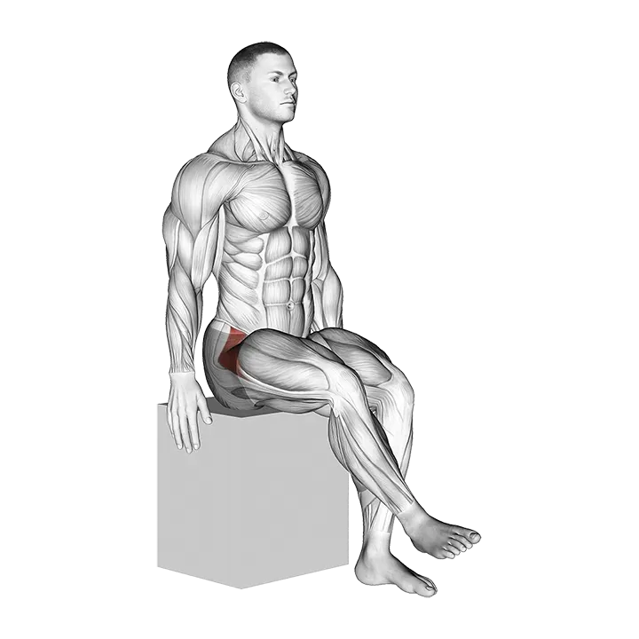 Hip - Medial Rotation (Internal Rotation) - Articulations exercise animation (Male)