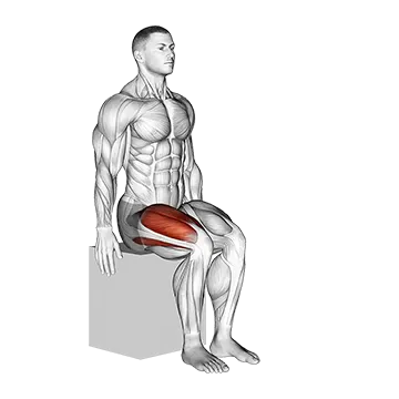 Knee - Extension - Articulations