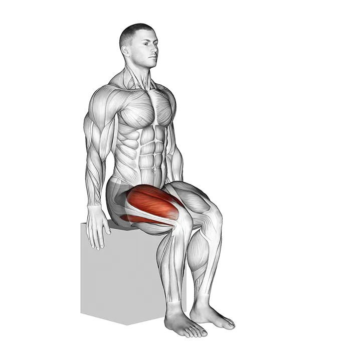Knee - Extension - Articulations exercise animation (Male)