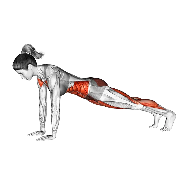 Plank Jump exercise animation (Female)