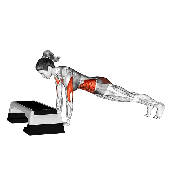 Plank Walk-Up exercise animation (Female)
