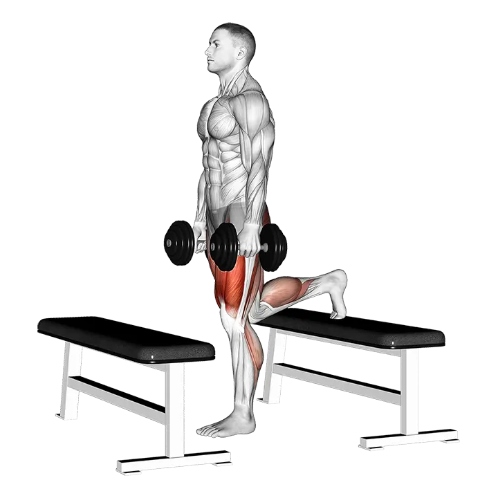 Dumbbell Step-up Lunge exercise animation (Male)