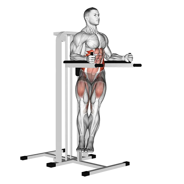 Twisted Leg Raise exercise animation (Male)