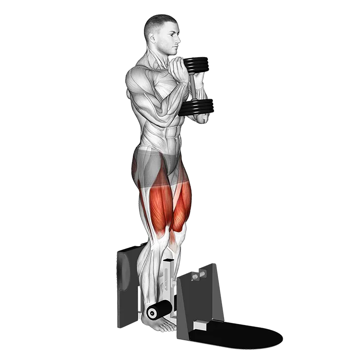 Dumbbell Supported Squat exercise animation (Male)