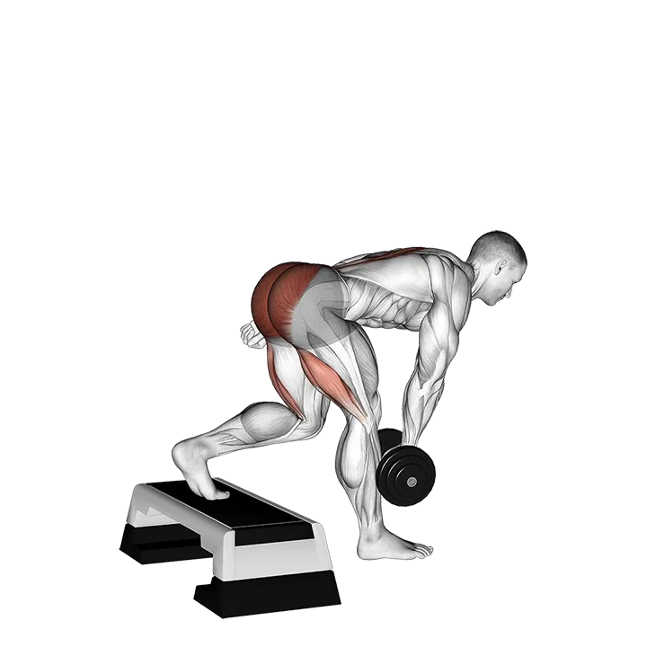 Dumbbell Single Leg Deadlift with Stepbox Support exercise animation (Male)
