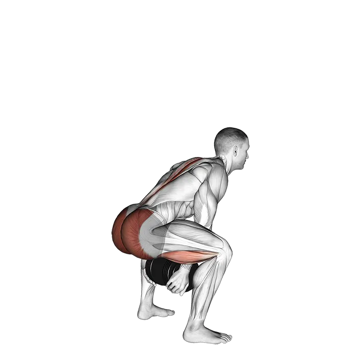 Dumbbell Sumo Pull Through exercise animation (Male)