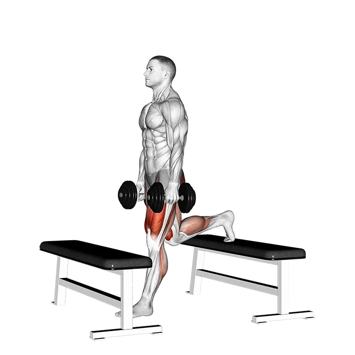 Dumbbell Step-up Split Squat exercise animation (Male)