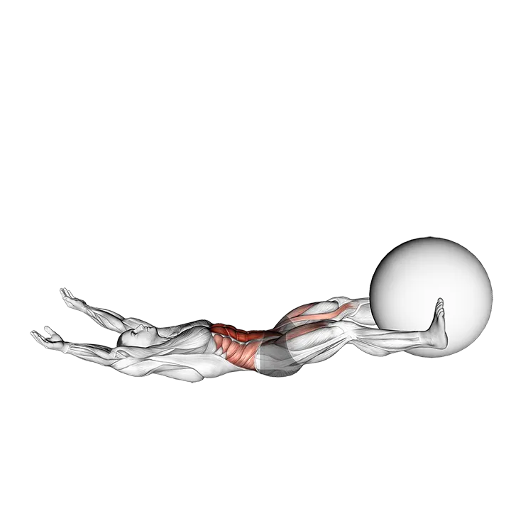 V-Up Down (with Stability ball) exercise animation (Male)