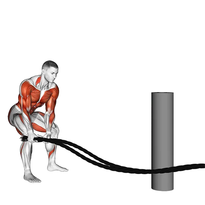 Battling Ropes Side Raise exercise animation (Männlich)