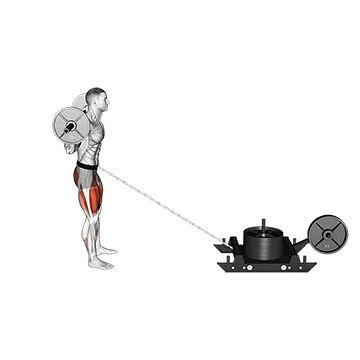 Power Sled Rear Lunge