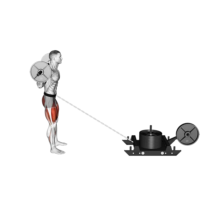 Power Sled Rear Lunge exercise animation (Female)