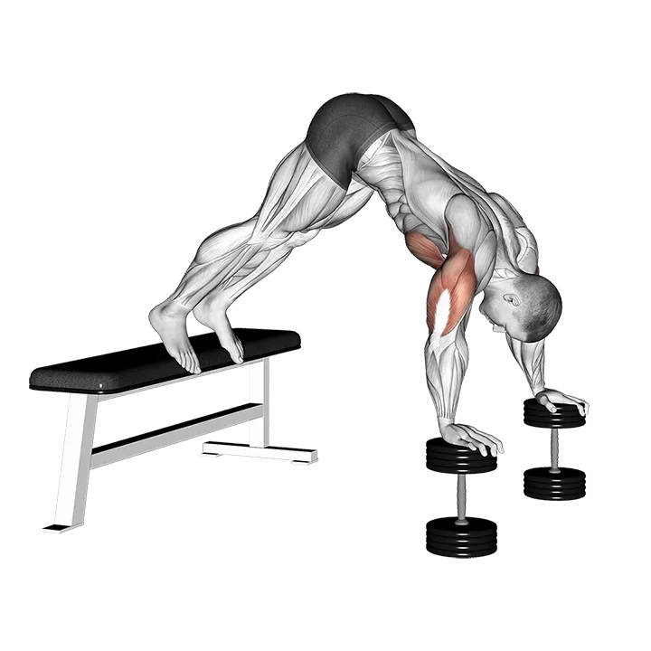 Pike Push-up (on Bench) exercise animation (Male)