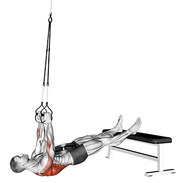 Suspender Weighted Inverted Row