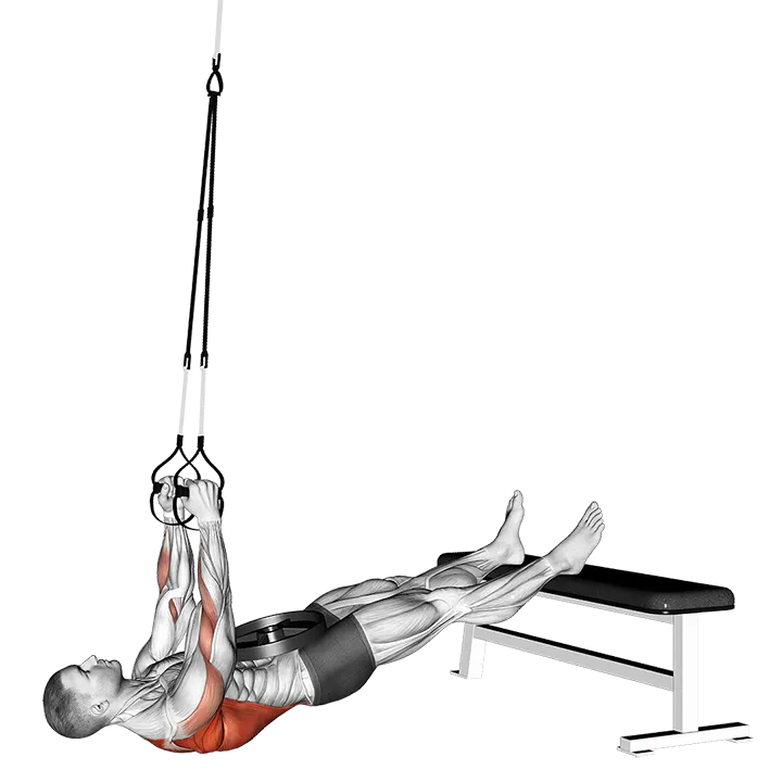 Suspender Weighted Inverted Row exercise animation (Männlich)