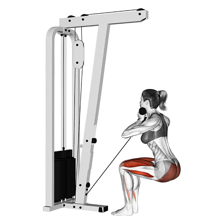 Cable Narrow Chair Stand Up exercise animation (Weiblich)