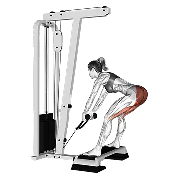 Cable Stiff Leg Deadlift from Stepbox