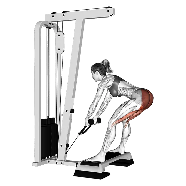 Cable Stiff Leg Deadlift from Stepbox exercise animation (Female)