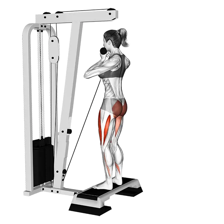 Cable Rear Lunge from Stepbox exercise animation (Female)