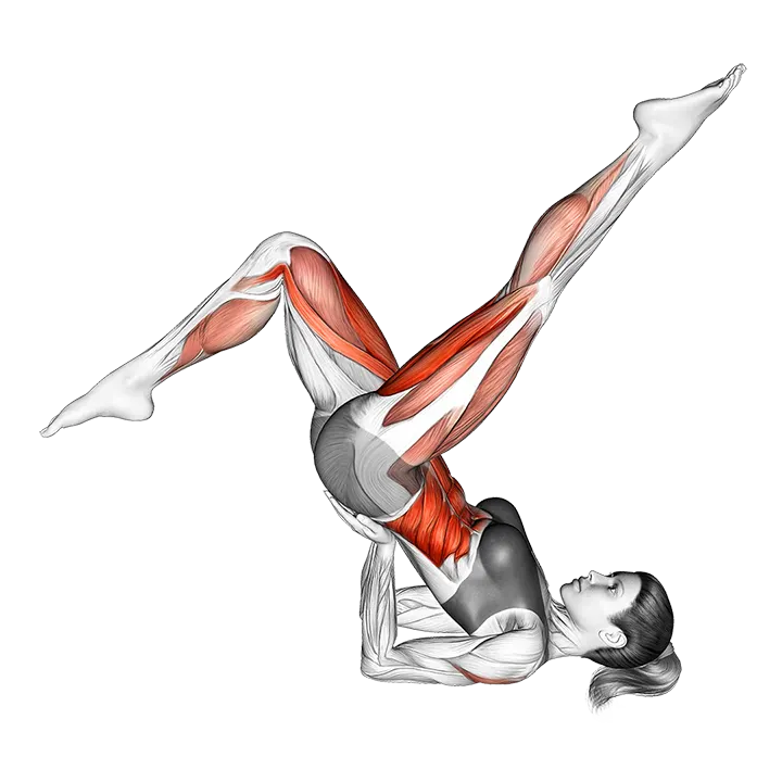 Bicycle exercise animation (Mujer)