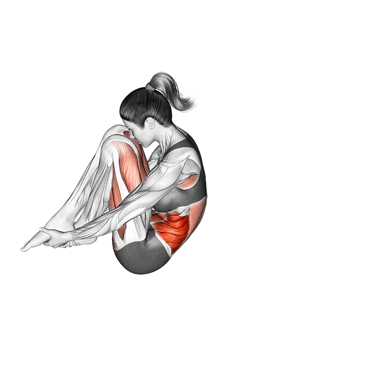 Crab exercise animation (Weiblich)