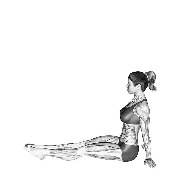 Leg Pull exercise animation (Female)