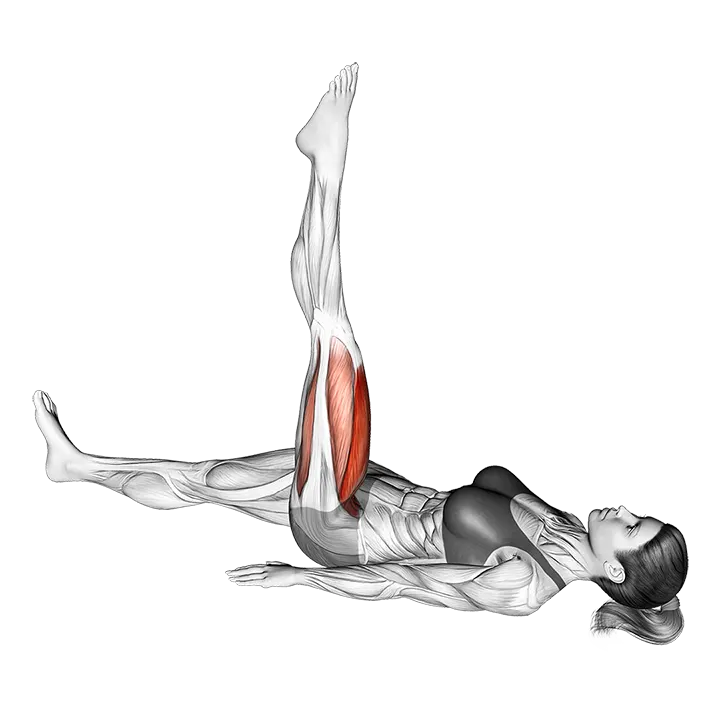 Lying Single Leg Circle exercise animation (Female)