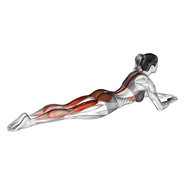 Lying Single Leg Kick exercise animation (Female)