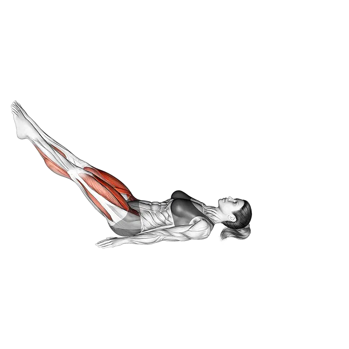 Rollover exercise animation (Female)