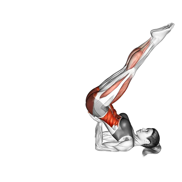 Scissors exercise animation (Female)