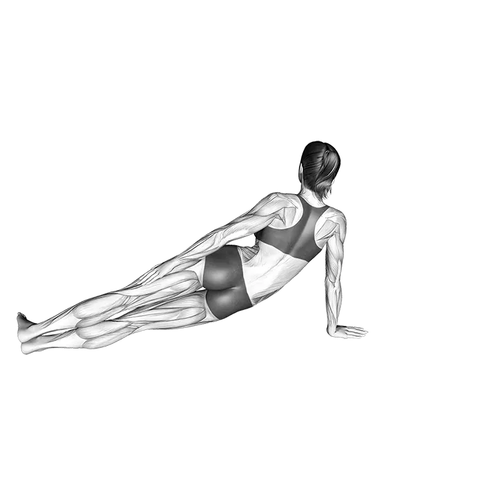 Side Bend exercise animation (Female)