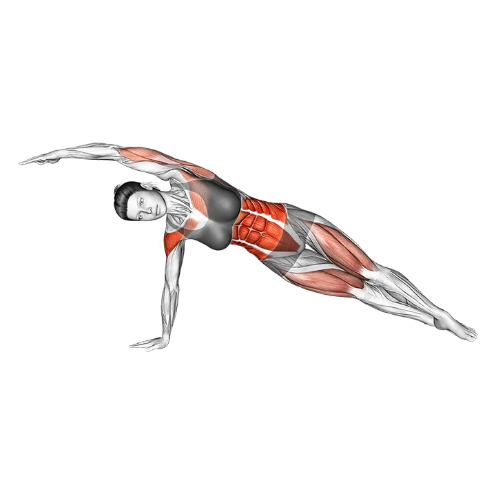 Side Twist exercise animation (Female)