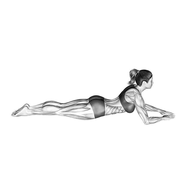 Swan Dive exercise animation (Female)