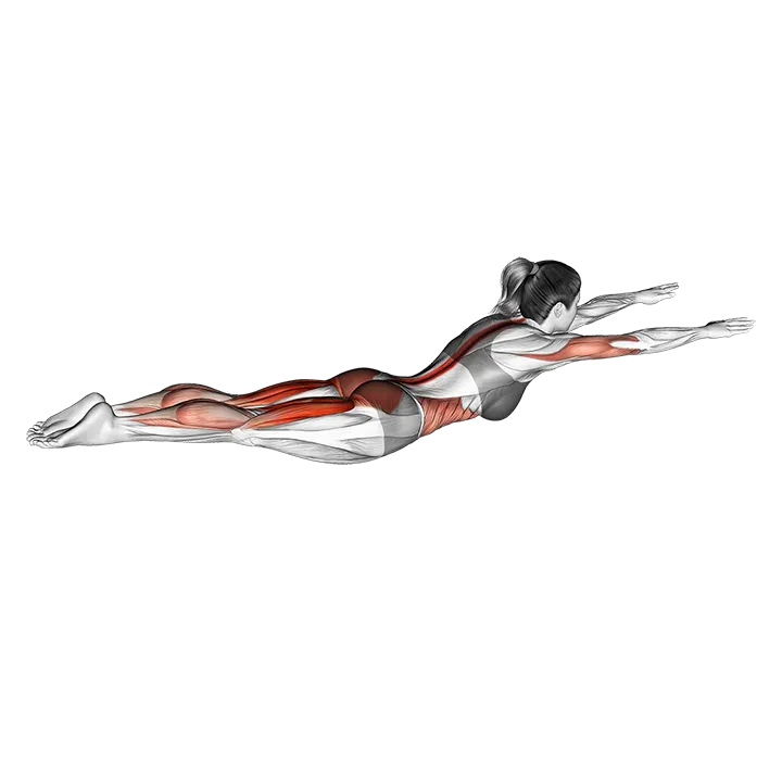 Swimming exercise animation (Female)