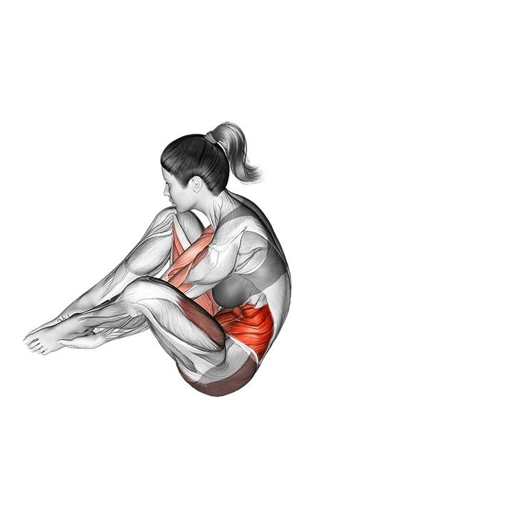 Seal exercise animation (Female)