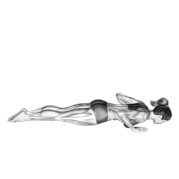 Prone Press-Swan