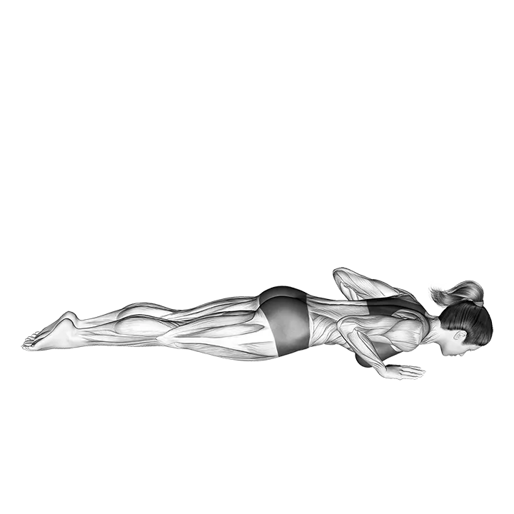 Prone Press-Swan exercise animation (Female)
