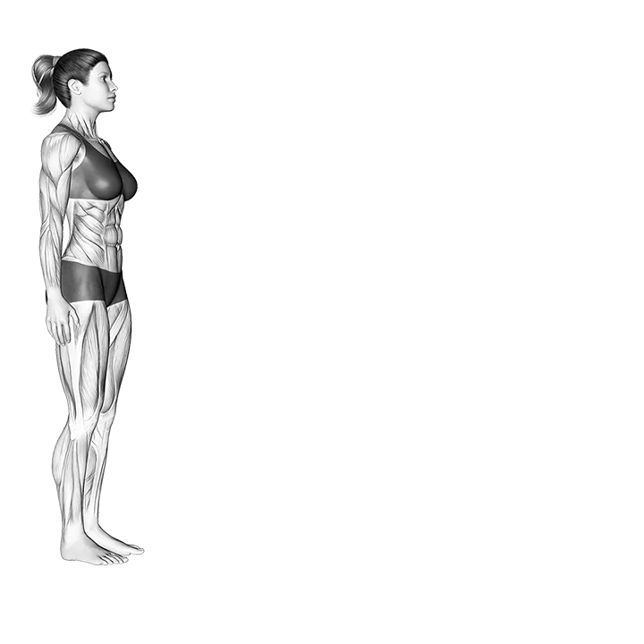 Push Up (from standing position) exercise animation (Female)