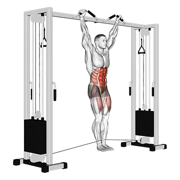 Cable Hanging Leg Raise